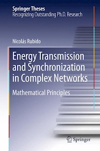 Energy Transmission and Synchronization in Complex Networks - Nicolás Rubido - E-Book