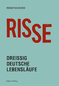 Risse - Roswitha Schieb - E-Book