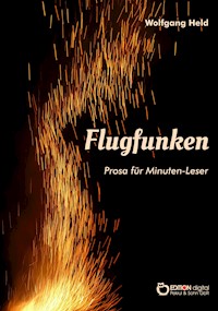 Flugfunken - Wolfgang Held - E-Book