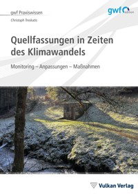 Quellfassungen in Zeiten des Klimawandels - Christoph Treskatis - E-Book