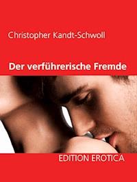 Der verführerische Fremde - Christopher Kandt-Schwoll - E-Book