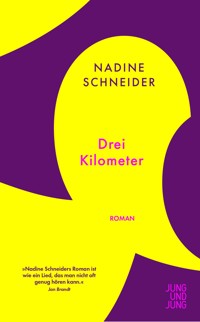 Drei Kilometer - Nadine Schneider - E-Book