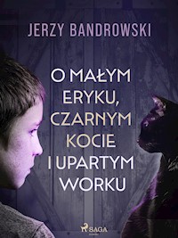O małym Eryku, czarnym kocie i upartym worku - Jerzy Bandrowski - E-Book