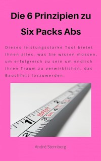 Die 6 Prinzipien zu Six Pack Abs - Andre Sternberg - E-Book