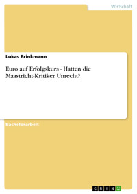 Euro auf Erfolgskurs - Hatten die Maastricht-Kritiker Unrecht? - Lukas Brinkmann - E-Book