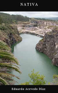 Nativa - Eduardo Acevedo Diaz - E-Book