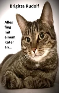 Alles fing mit einem Kater an - Brigitta Rudolf - E-Book