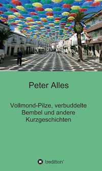 Vollmond-Pilze, verbuddelte Bembel und andere Kurzgeschichten - Peter Alles - E-Book