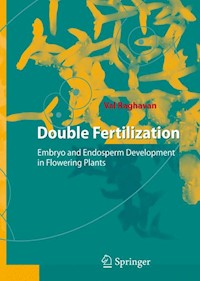 Double Fertilization - Val Raghavan - E-Book