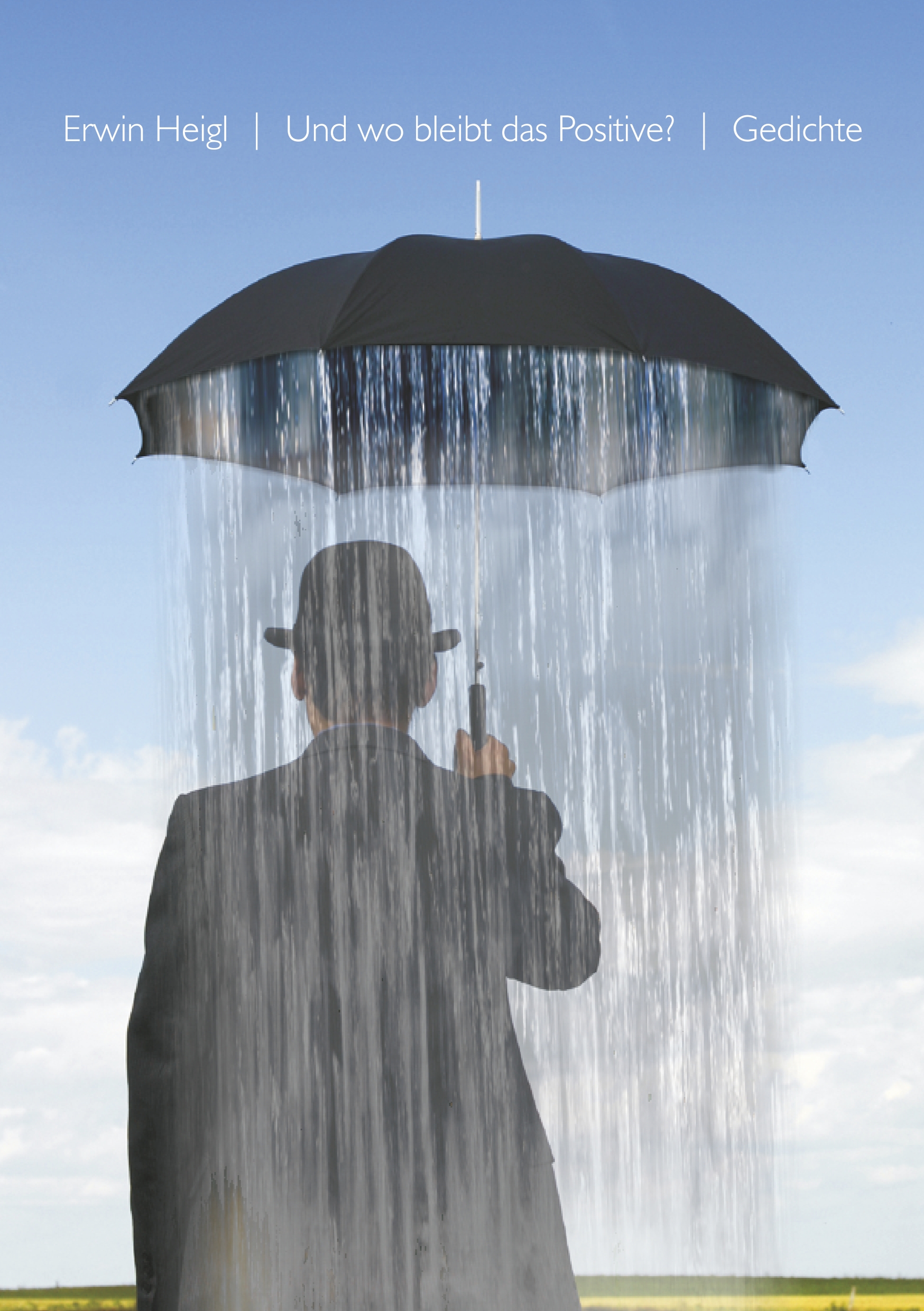 Und wo bleibt das Positive? - Erwin Heigl - E-Book