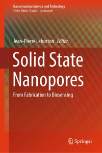 Solid State Nanopores -  - E-Book