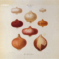 Hagen Rether, Liebe 6 - Hagen Rether - Hörbuch