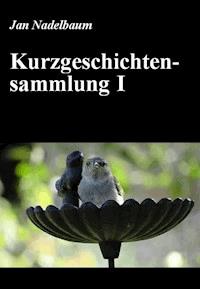 Kurzgeschichtensammlung I - Jan Nadelbaum - E-Book