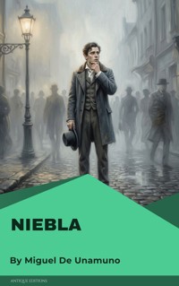Niebla - Miguel de Unamuno - E-Book