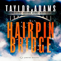 Hairpin Bridge - Taylor Adams - Hörbuch