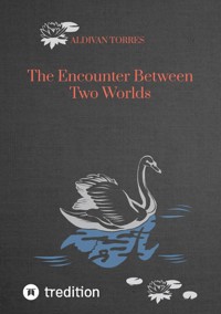 The Encounter Between Two Worlds - Aldivan Torres - E-Book