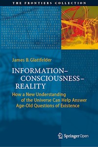 Information—Consciousness—Reality - James B. Glattfelder - kostenlos E-Book