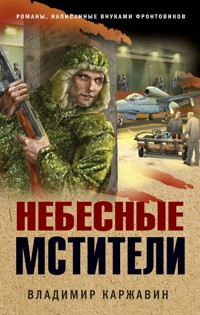 Небесные мстители - Владимир Каржавин - E-Book