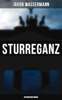 Sturreganz: Historischer Roman - Jakob Wassermann - E-Book
