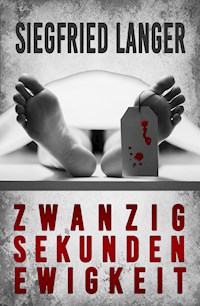 Zwanzig Sekunden Ewigkeit - Siegfried Langer - E-Book
