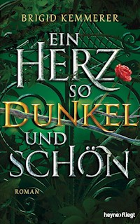 Ein Herz so dunkel und schön - Brigid Kemmerer - E-Book