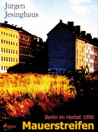 Mauerstreifen - Jürgen Jesinghaus - E-Book