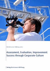 Assessment, Evaluation, Improvement: Success through Corporate Culture - Sonja Sackmann - E-Book
