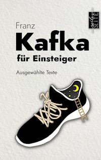 Kafka für Einsteiger - Franz  kafka - E-Book