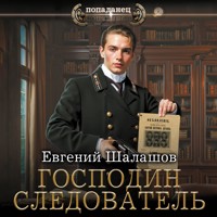 Господин следователь - Евгений Шалашов - Hörbuch