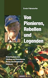 Von Pionieren, Rebellen und Legenden - Erwin Palnstorfer - E-Book