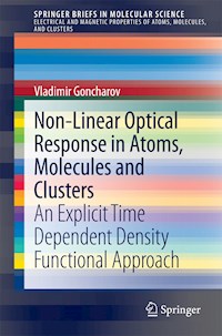 Non-Linear Optical Response in Atoms, Molecules and Clusters - Vladimir Goncharov - E-Book