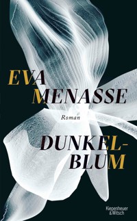 Dunkelblum - Eva Menasse - E-Book
