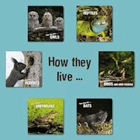 How they live - David Withrington - E-Book