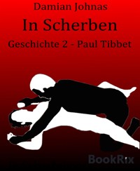 In Scherben - Damian Johnas - E-Book