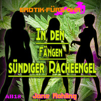 Erotik für's Ohr, In den Fängen sündiger Racheengel - Jane Rohling - Hörbuch