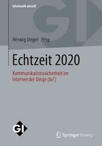Echtzeit 2020 -  - E-Book