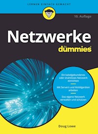 Netzwerke für Dummies - Doug Lowe - E-Book
