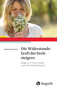 Die Widerstandskraft der Seele steigern - Gaby Gschwend - E-Book