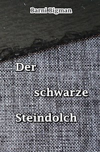 Der schwarze Steindolch - Barni Bigman - E-Book
