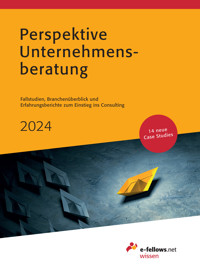 Perspektive Unternehmensberatung 2024 -  - E-Book