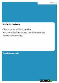 Chancen und Risiken der Nachwuchsförderung im Rahmen des Kultursponsoring - Stefanie Hartwig - E-Book