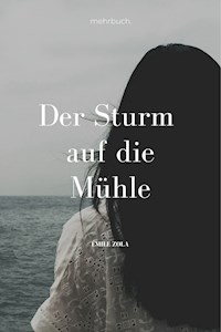 Der Sturm auf die Mühle - Émile Zola - E-Book