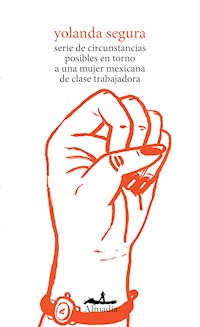 Serie de circunstancias posibles en torno a una mujer mexicana de clase trabajadora - Yolanda Segura - E-Book
