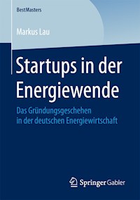 Startups in der Energiewende - Markus Lau - E-Book