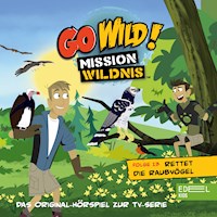 Folge 13: Rettet die Raubvögel / Die Regenwald-Kobolde (Das Original Hörspiel zur TV-Serie) - Andreas Lueck - Hörbuch