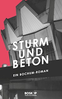 Sturm & Beton - Sarah Meyer-Dietrich - E-Book
