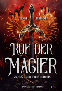 Ruf der Magier - Zorn der Finsternis - Isabel Lieshoff - E-Book