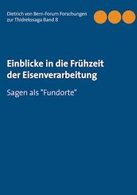 Einblicke in die Frühzeit der Eisenverarbeitung -  - E-Book