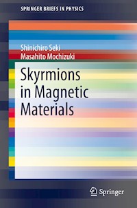 Skyrmions in Magnetic Materials - Shinichiro Seki - E-Book