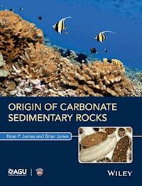 Origin of Carbonate Sedimentary Rocks - Noel P. James - E-Book